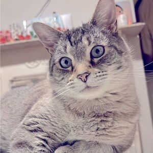 Meet your Posher, Blanca